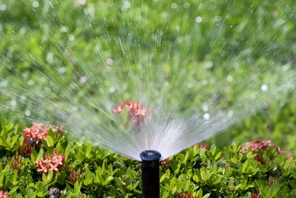 Reliable lawn sprinkler system contractor in St. Louis, MO Our lawn sprinkler system contractor at work in St. Louis, MO
