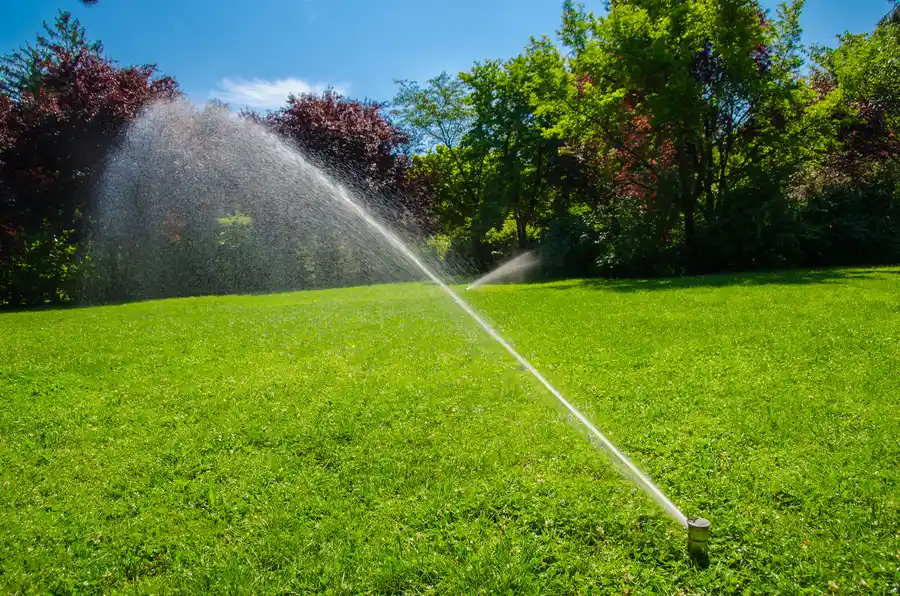 How To Choose The Right Irrigation System For Your Lawn in St. Louis, MO How To Choose The Right Irrigation System For Your Lawn in St. Louis, MO