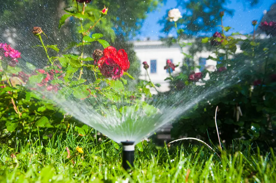 Key Factors To Consider Before Installing A Sprinkler System St. Louis, MO Key Factors To Consider Before Installing A Sprinkler System St. Louis, MO